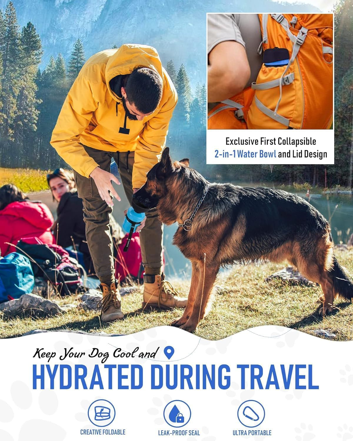 Dog Hiking Accessories for Travel