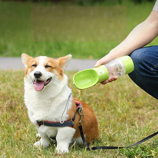 Lightweight Pet Water Bottle for Hiking, Easy to Carry, BPA Free (Blue)