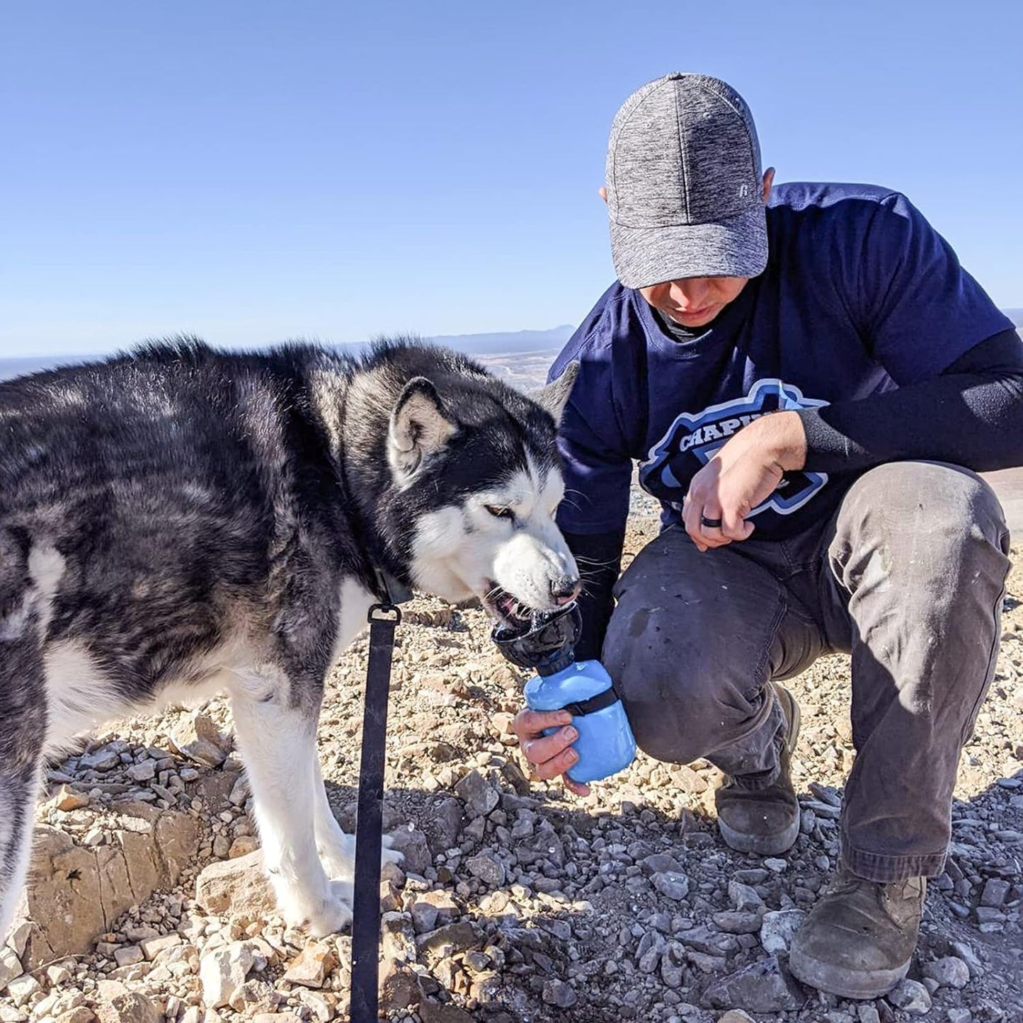 Dog Hiking Accessories for Travel